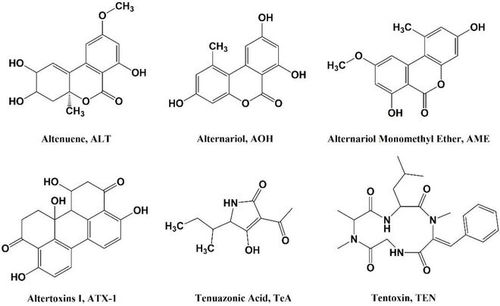新疆農(nóng)業(yè)大學夏利寧教授團隊提出反芻動物飼料中新興霉菌毒素污染物的防控技術