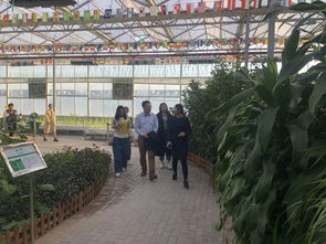 黃瓜小鎮(zhèn)的神秘客人 農(nóng)業(yè)科學研究和試驗發(fā)展的新篇章