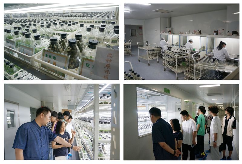 紅旅拓溫控新材，綠能護沃野生機——化學與環(huán)境工程學院赴南陵大浦現(xiàn)代農(nóng)業(yè)試驗區(qū)開展“青年紅色筑夢之旅”活動紀實