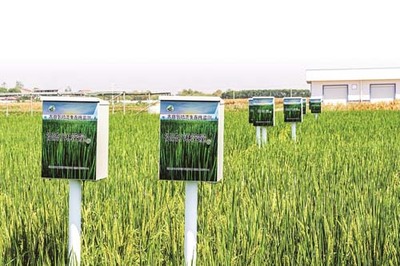 省農科院鄂州基地 現代科技賦能，感受農業發展的堅實底氣