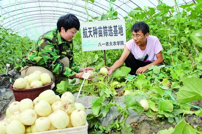 十三五開局之年 經濟社會發展平穩，農業科研試驗發展邁出新步伐