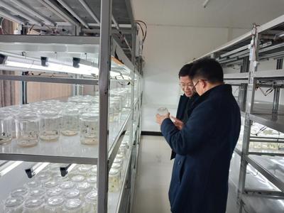 科技賦能鄉村振興 市科技局深入科研院所調研農業科研工作